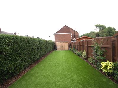 Picture 19